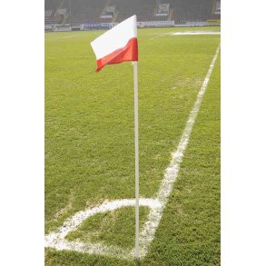 st�nger til hj�rneflag