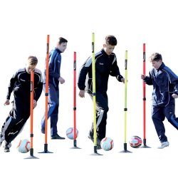 Agility-st�nger - 12 stk. - Justerbar
