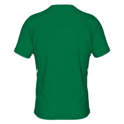 Errea Spillertrje | Grn