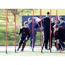 Agility-st�nger - 12 stk.