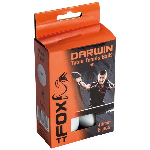 Fox TT Darwin 1 Star Bordtennisbolde - 6 stk.