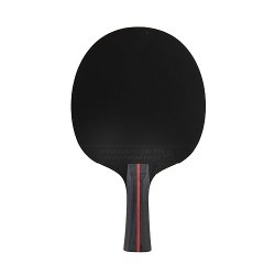 Dunlop bordtennis bat