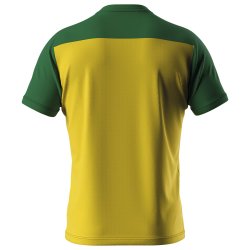 Errea | Spillertrje - Gul/Grn
