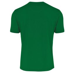 Errea Everton spillertrje grn
