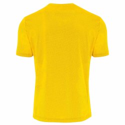 Errea Everton spillertrje gul