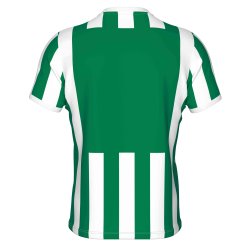 Errea Stribet Spillertrje | Grn/Hvid
