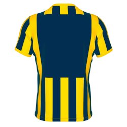 Errea Stribet Spillertrje | Navy/Gul