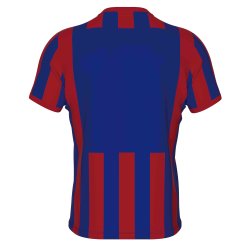 Errea Stribet Spillertrje | Navy/Rd