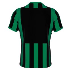 Errea Stribet Spillertrje | Sort/Grn