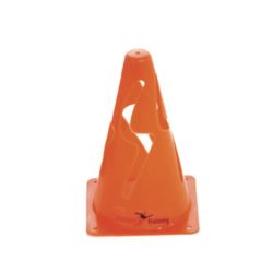 Precision Jr. Speed Agility St